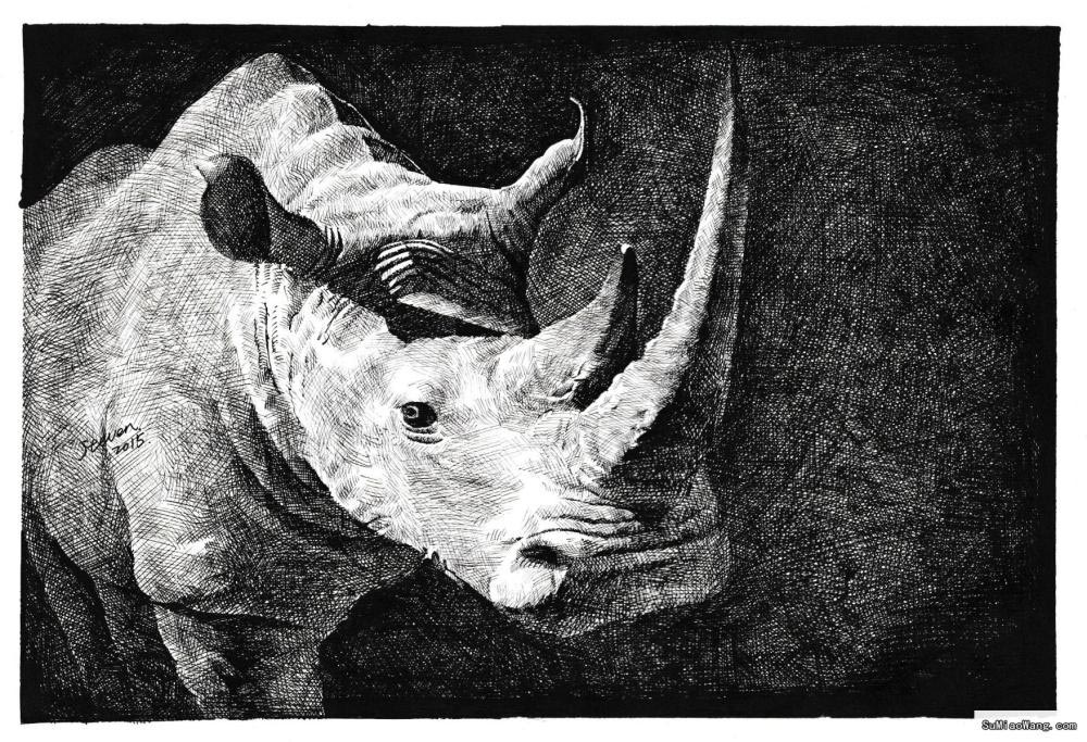 犀牛钢笔画图片