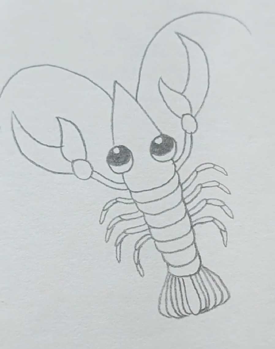 大龙虾图片铅笔画图片