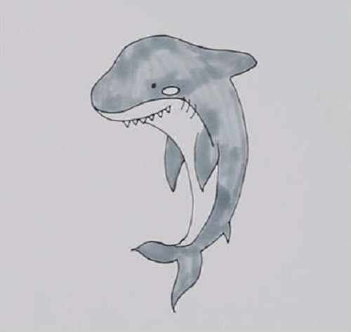 鲨鱼简笔画嘴巴图片