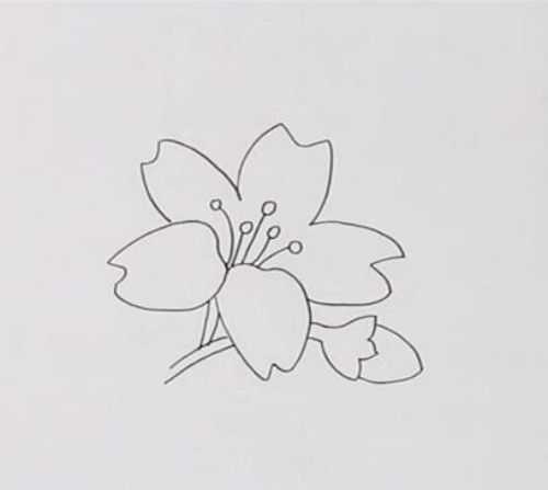 花朵的简单画法简笔画图片