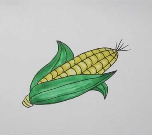 玉米粒简笔画怎么画图片