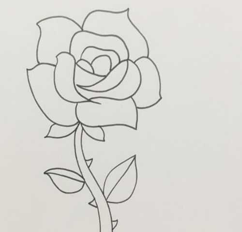 玫瑰花简笔画可爱儿童图片
