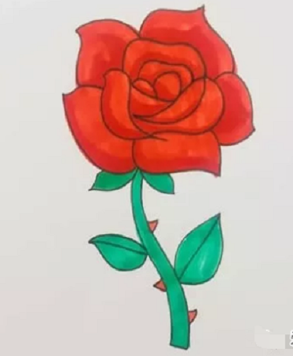 一朵玫瑰花 简笔画图片