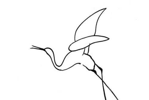 飞起来的丹顶鹤怎么画图片